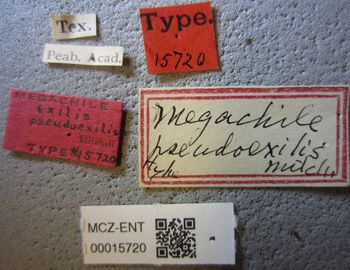 Media type: image;   Entomology 15720 Aspect: labels